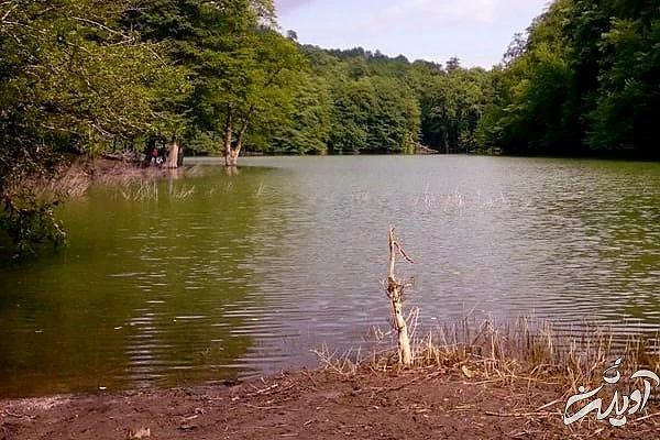 دریاچه چهاردانگه ساری ابندان پله ازنی